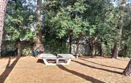 Appartement 4 personnes à Saint Georges de Didon - Photo 12