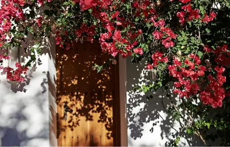 VILLA VELLA, Maison 12 personnes à Ibiza - Photo 12