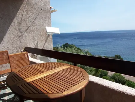 Mini-villa climatisée 6 pers avec Wi-Fi - Animaux acceptés - Photo 3
