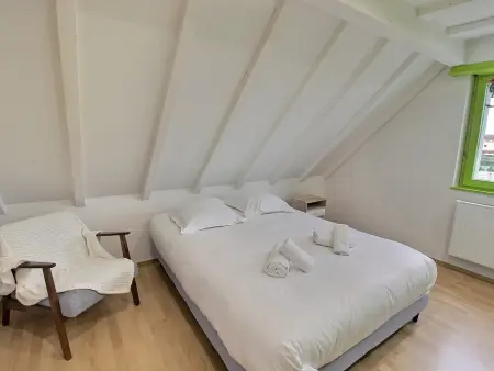 Maison spacieuse à Colmar, 5 chambres, terrasse, WiFi, parking gratuit - Photo 14