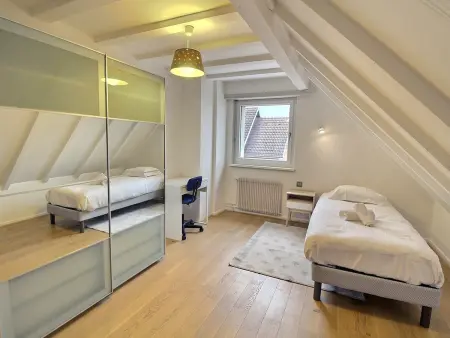 Maison spacieuse à Colmar, 5 chambres, terrasse, WiFi, parking gratuit - Photo 18
