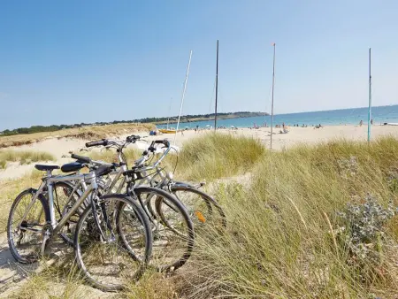 Appartement 4 pers, plage à 300m, WiFi, parking, St-Gildas-de-Rhuys - Photo 31