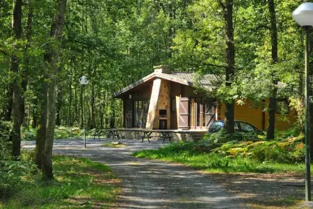 Mélèze, Chalet en Belgique près des sentiers - Photo 4