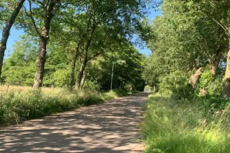 Mélèze, Chalet en Belgique près des sentiers - Photo 37