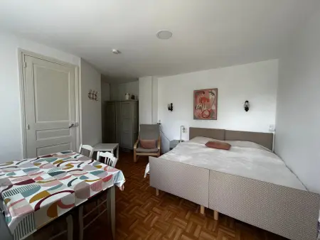 Studio entre Thermes et centre-ville avec jardin, parking et WIFI - Photo 1