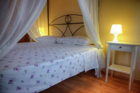 Villa intera, Maison à Modigliana avec piscine et vignobles - Photo 28