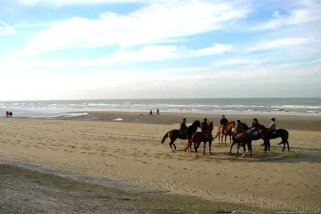 GOLF HIT - 6C, Appartement à Blankenberge près du Quai - Photo 16