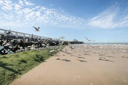 GOLF HIT - 6C, Appartement à Blankenberge près du Quai - Photo 22