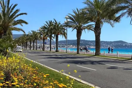 Appartements à Nice, Appartements à Nice - Photo 35