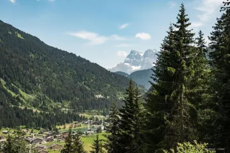 TOVASSIERE TS92 NATURE & SUN 4 Pers., Appartement pour 4 personnes à Chatel - Photo 8