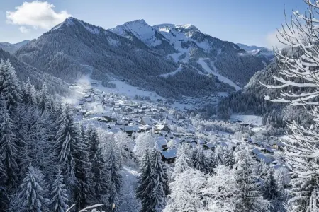 TOVASSIERE TS92 NATURE & SUN 4 Pers., Appartement pour 4 personnes à Chatel - Photo 11