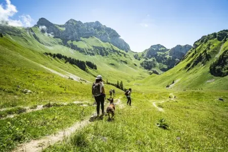 TOVASSIERE TS92 NATURE & SUN 4 Pers., Appartement pour 4 personnes à Chatel - Photo 13