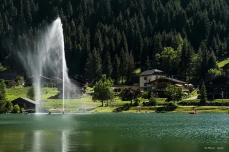 Yéti YT17B6 MOUNTAIN & NATURE 4 Pers., Appartement à Châtel près du Barbossine - Photo 10