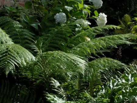 Charmante maison avec vue mer, jardin clos et Wifi - Photo 15