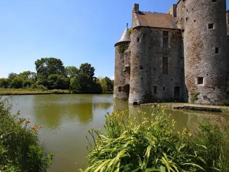 Séjour Authentique au Manoir avec Animaux Acceptés - Photo 10