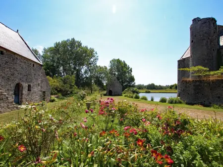 Séjour Authentique au Manoir avec Animaux Acceptés - Photo 11