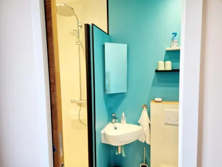 Maison spacieuse avec vue mer, cheminée et jardin - Photo 17