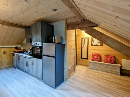 Appartement 42m² cosy avec parking, WiFi, proche pistes, La Bresse - Photo 1