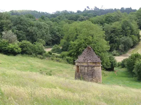 Charmante maison rustique en pierres, proche de Sarlat - Photo 4