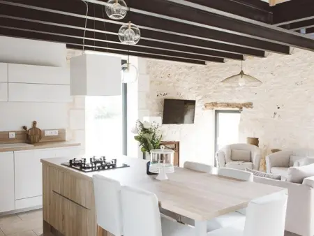 Charmante maison avec climatisation, WiFi et animaux admis à Puycousin - Photo 3