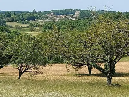 Charmante maison avec climatisation, WiFi et animaux admis à Puycousin - Photo 6
