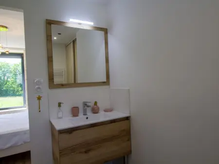 Charmante maison avec climatisation, WiFi et animaux admis à Puycousin - Photo 12