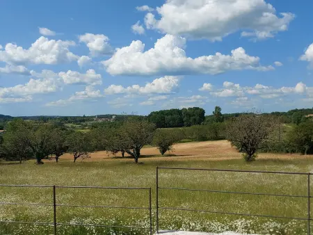 Charmante maison avec climatisation, WiFi et animaux admis à Puycousin - Photo 22