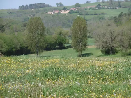 Maison rustique en pierres proche de Sarlat, jardin, 6 pers. - Photo 2