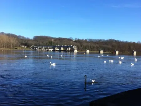Évasion en Dordogne: Maison au bord de l'eau avec parking privé - Photo 15
