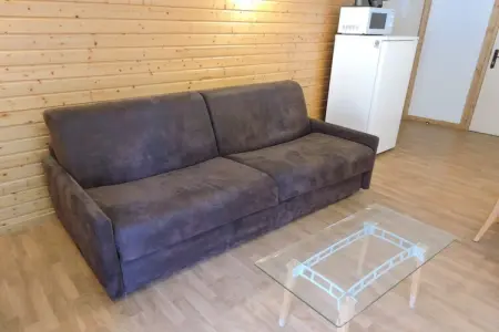 Hameau 8 205 - SPA & PISCINE studio 4 pers., Appartement en Auvergne avec terrasse - Photo 15