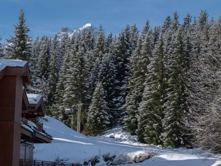 Courchevel 1850 - Appartement 4 pers, skis aux pieds, wifi, parking - Photo 10