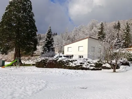 Maison spacieuse avec spa et terrain de jeux en lisière de forêt - Photo 1