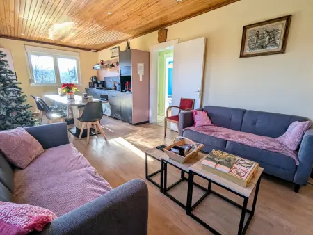 Maison spacieuse avec spa et terrain de jeux en lisière de forêt - Photo 10