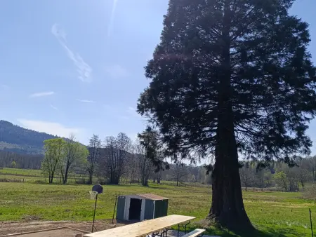 Maison spacieuse avec spa et terrain de jeux en lisière de forêt - Photo 26