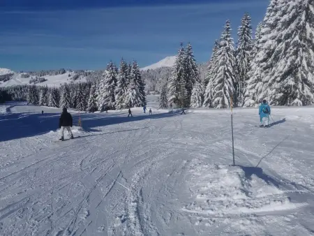 Le Temps-Passe, Chalet spacieux avec sauna les Portes du Soleil - Photo 34