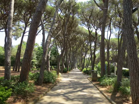 Eco del mare, Appartement 4 personnes à Castiglioncello - Photo 45