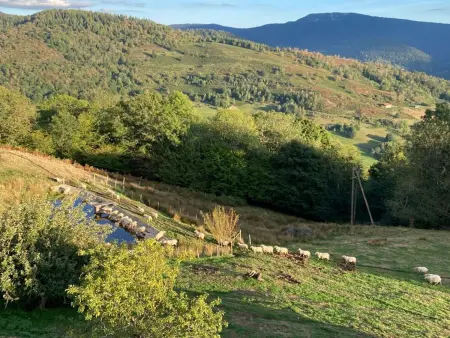 Appartement à la ferme vosgienne avec terrasse, cheminée et wifi - Photo 12