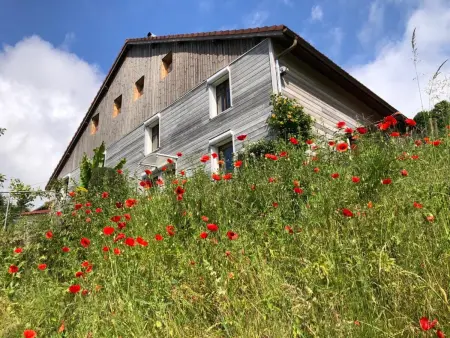 Gîte rural Vosges, 6 pers., WiFi, parking, vélos bienvenue - Photo 13