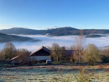 Gîte rural Vosges, 6 pers., WiFi, parking, vélos bienvenue - Photo 14