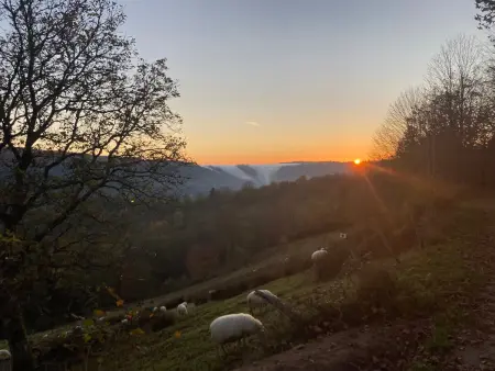 Gîte rural Vosges, 6 pers., WiFi, parking, vélos bienvenue - Photo 16