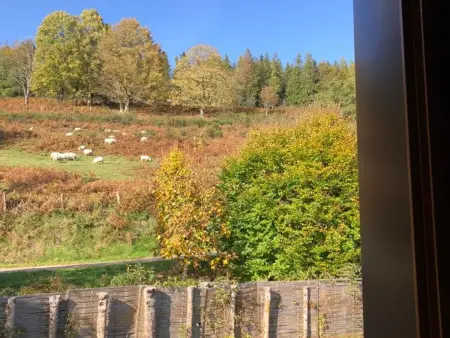 Gîte rural Vosges, 6 pers., WiFi, parking, vélos bienvenue - Photo 17