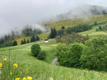 Gîte rural Vosges, 6 pers., WiFi, parking, vélos bienvenue - Photo 20