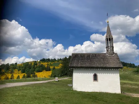Gîte rural Vosges, 6 pers., WiFi, parking, vélos bienvenue - Photo 23
