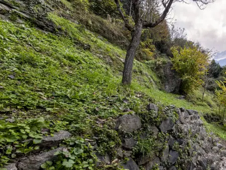 Borgonuovo Waterfall's House, Maison 6 personnes à Chiavenna - Photo 26