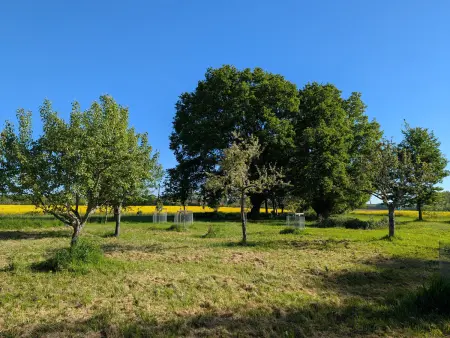 Gîtes modulables entre Loire et Sologne avec jardin et barbecue - Photo 34