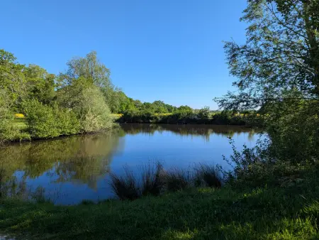 Gîte en forêt avec jardin, terrasse et parking près de la Loire - Photo 22