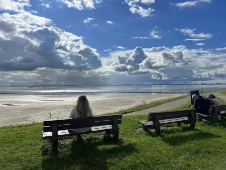 De Noordzee, Maison 4 personnes à Scherpenisse - Photo 12