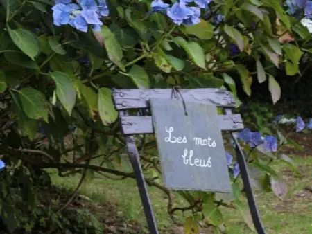 Maisonnette indépendante avec vue mer, jardin privé et wifi - Photo 16