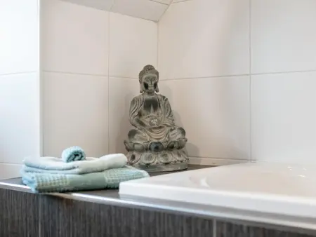 Molenzicht, Merveilleuse villa avec piscine et jacuzzi - Photo 11
