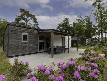 Woodlodge XL 588, Chalet spacieux dans le parc avec piscine - Photo 2